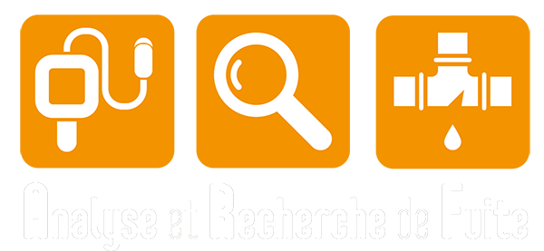 Analyse Recherche Fuite